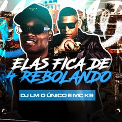 ELAS FICAR DE 4 REBOLADO ((DJ LM O ÚNICO)) MC K9