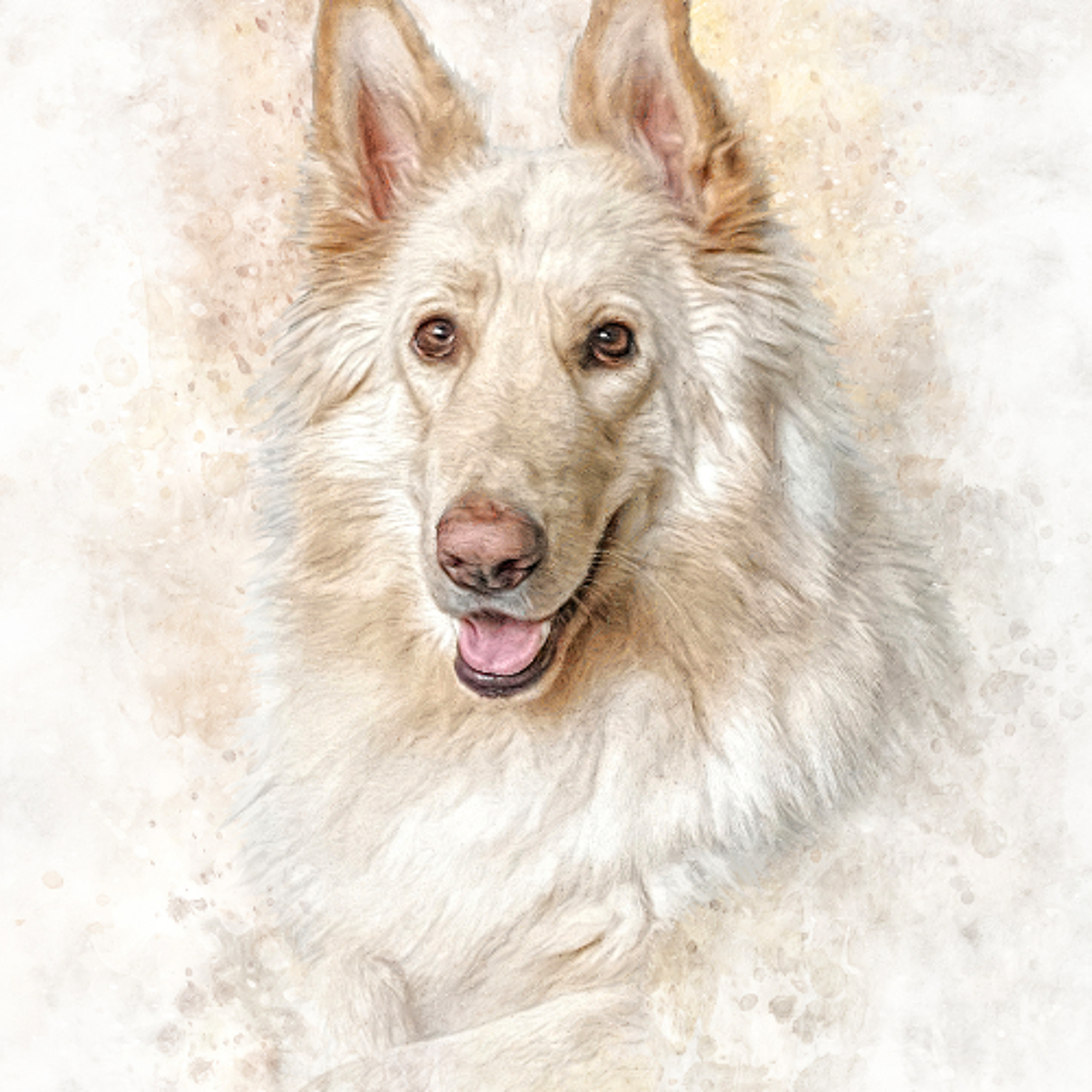 Larmar Star Pet Supplies on The Bishop FM Community Coffee Break