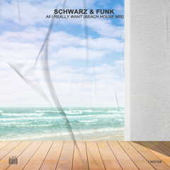 Stream Nevada (beach house mix) by Schwarz & Funk | Listen online for free  on SoundCloud