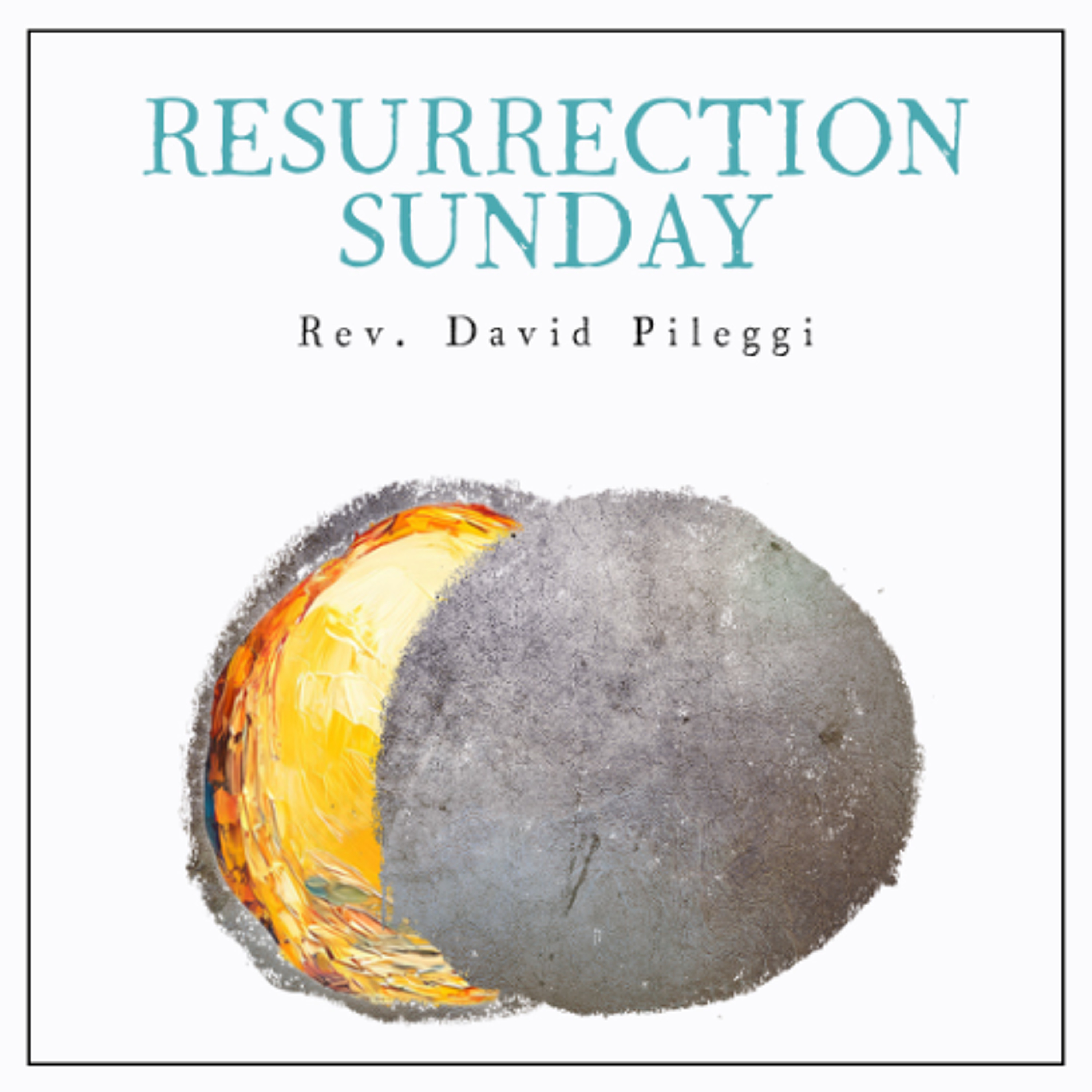 For the Sake of the World | Rev. David Pileggi episode artwork