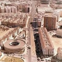 Barbarela