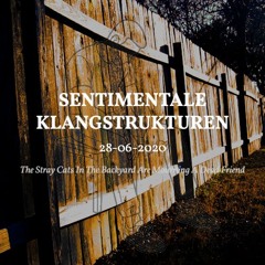 28-06-2020 (The Stray Cats In The Backyard Are Mourning A Dead Friend)