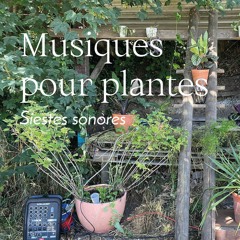 Rêverie sonore ✧ Musiques pour plantes • Le 2 juillet 2022 à La Cité s'invente