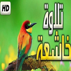 قرآن كريم  تلاوة هادئة تريح الاعصاب ارح مسمعك ❤️ سورة الأنفال 1445 (1-23)