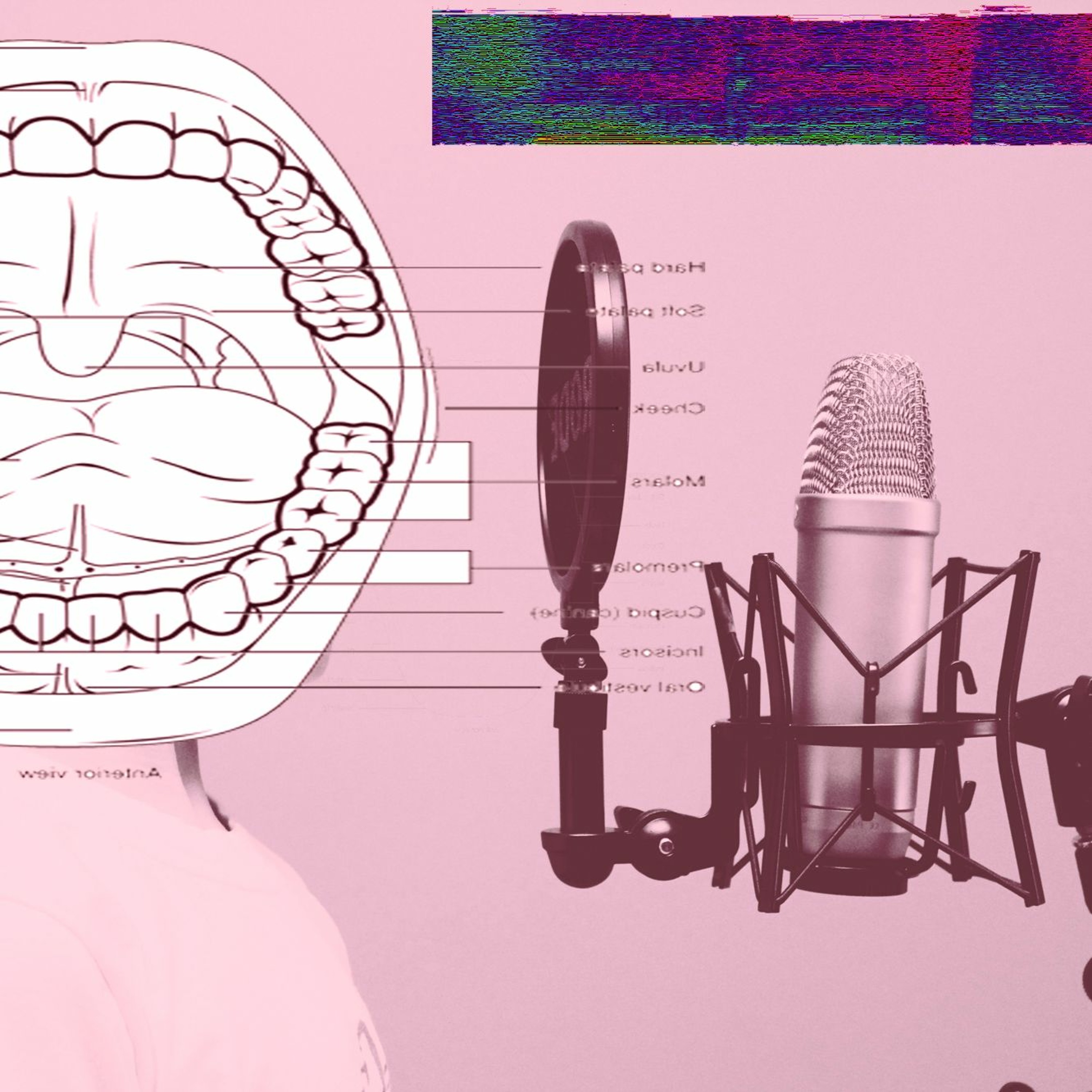 Voice episode artwork