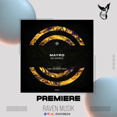 PREMIERE: Mayro - No Words (Teklix Remix) [WARPP]