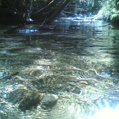 Stuck By This River
