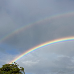 barefoot bastard 2025