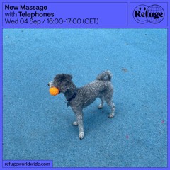 New Massage 041 - Telephones - 04 Sep 2024