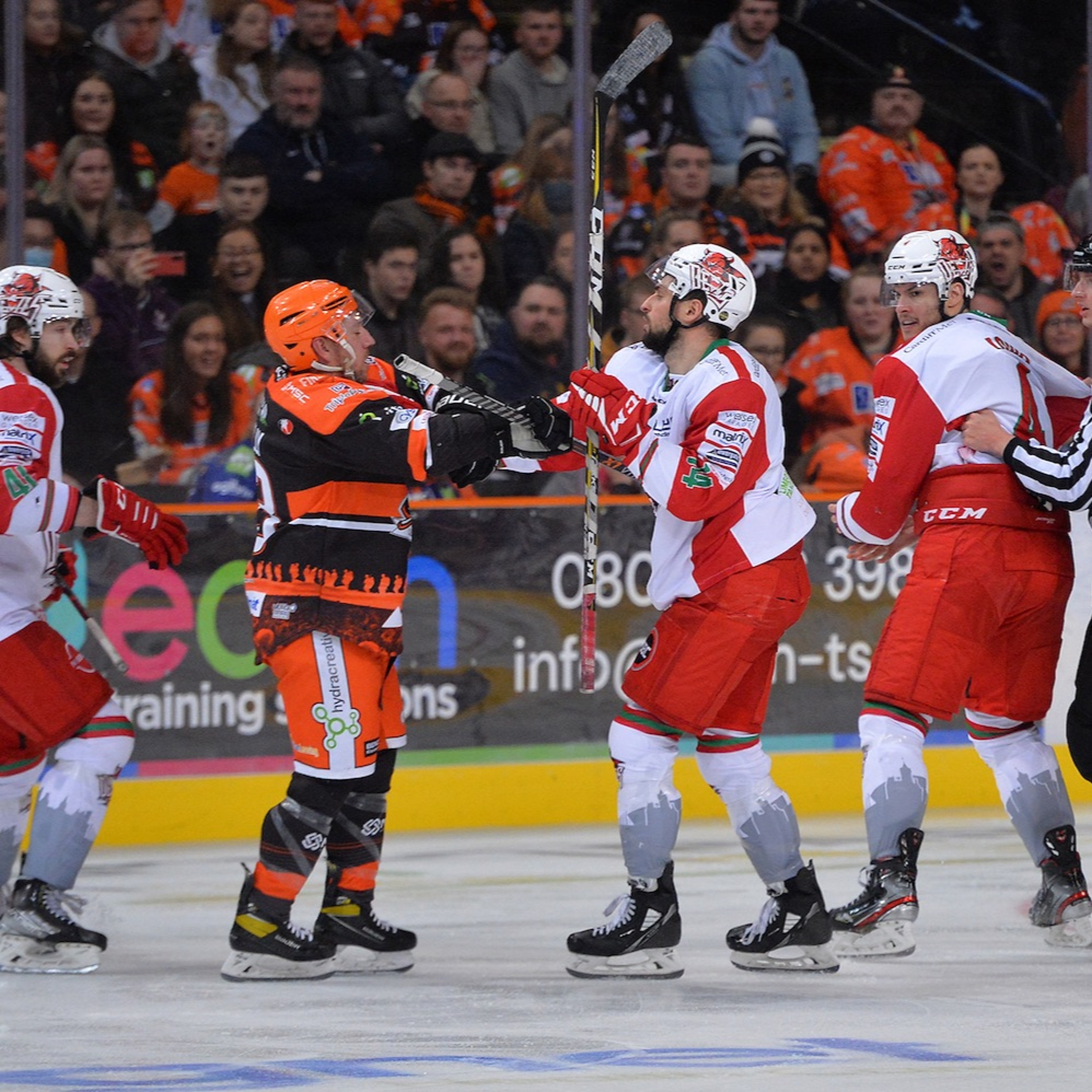 SheffieldSteelers