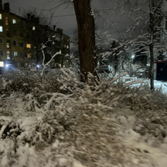 пластик (они тебя заставили)