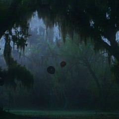The Balloons In The Swamp