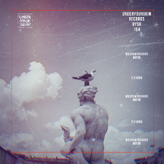 Wilhelm Richard & Motin - Fly High [UYSR154]