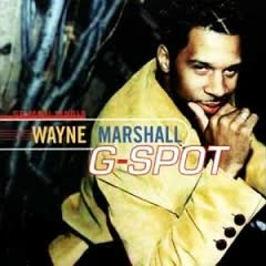 Wayne Marshall - G Spot Jungle Remix