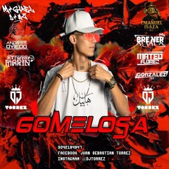 GOMELOSA 0.1