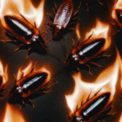 Roach (feat. Vails Prod by. The Sound Clown and lvposeidon)