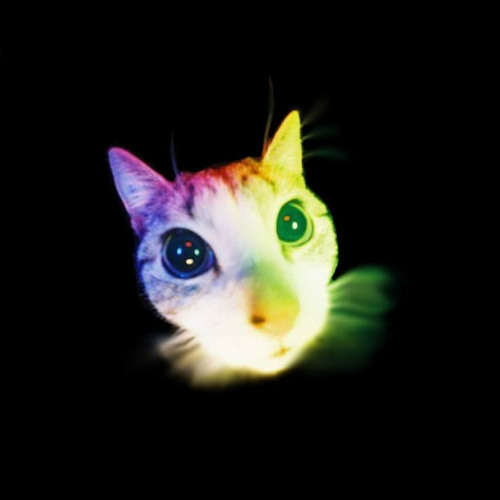 @staticplus - 165 bpm