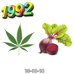 1992 - 101918 Dope Beats (320kbps)