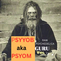 PSYOM / WILDCORE INTERTAIMENT