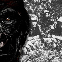 Guerrilla war ft pkligro