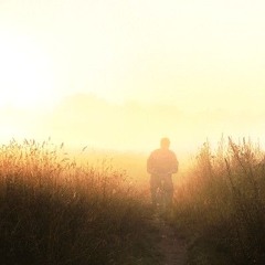 Fatal - Амстердам