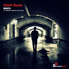 Clark Davis - Brics (Christian Auxtin Remix)