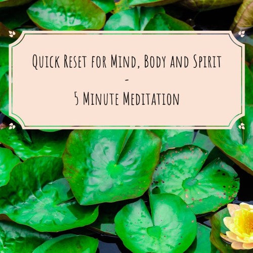 Listen to music albums featuring 5 Minute Meditation - Quick Reset for ...