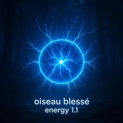 energy 1.1