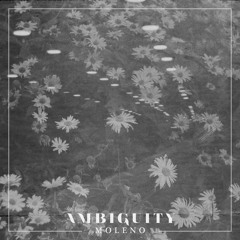 Ambiguity