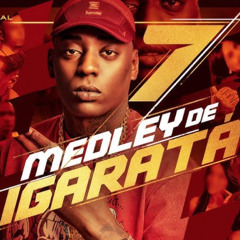 MEDLEY DE IGARATÁ 7 - MC Negão Original