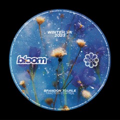 Brandon Tourle - Traction Control