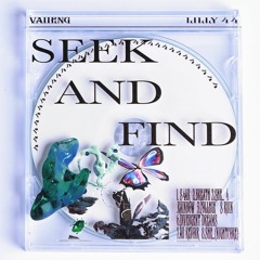 Seek & Find