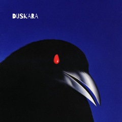 Duskara - Shooting Stars (feat Elephante)