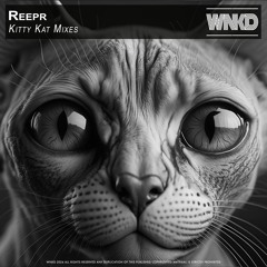 ReepR - Kitty Kat Mixes
