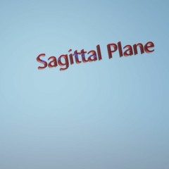 Sagittal Plane