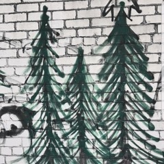 BITE - Picea Abies