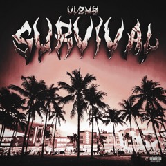 VLZMB - SURVIVAL