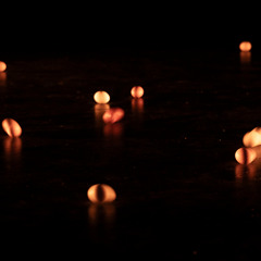 Egg Talks - Pretty dresses