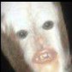 Oreo Cookies (of the future)