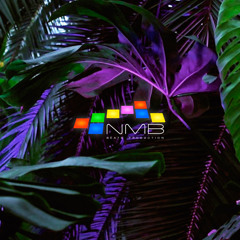 Jungle Beat Prod. By NMB.mp3