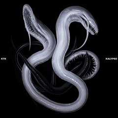 Premiere: KTK - Kalypso [MG003]