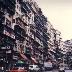 ZORN- walk this way 舐達磨 outolw 100millions