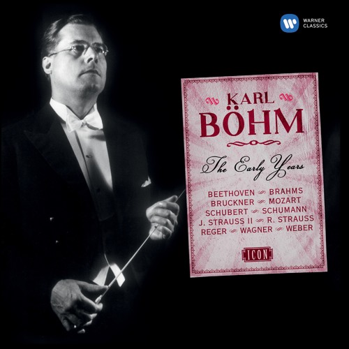 Beethoven: Symphony No. 9 in D Minor, Op. 125, "Choral": I. Allegro ma non troppo, un poco maestro