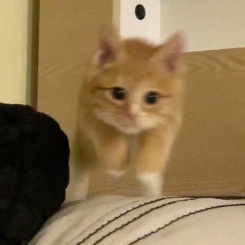 YOON WON (윤원) - 사랑하지 말걸 그랬나 봐