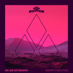 Julian Schraven - Weird Feelings