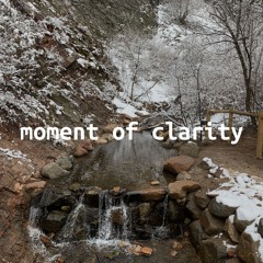 moment of clarity
