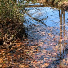 BBD096-3_1 Virtually - Coming - Together