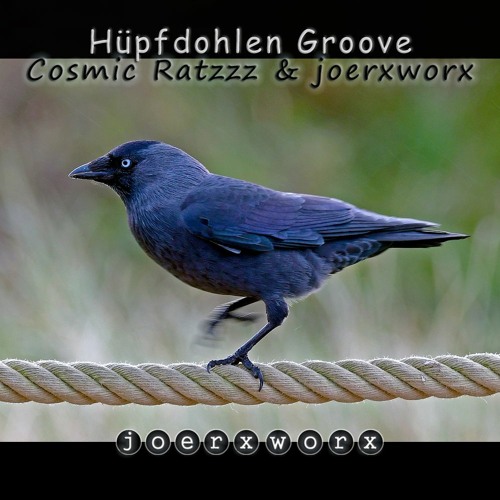 Hüpfdohlen Groove // Cosmic Ratzzz & joerxworx // lunatics39