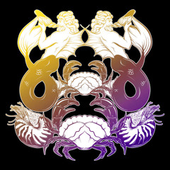 Birthdays & Funerals