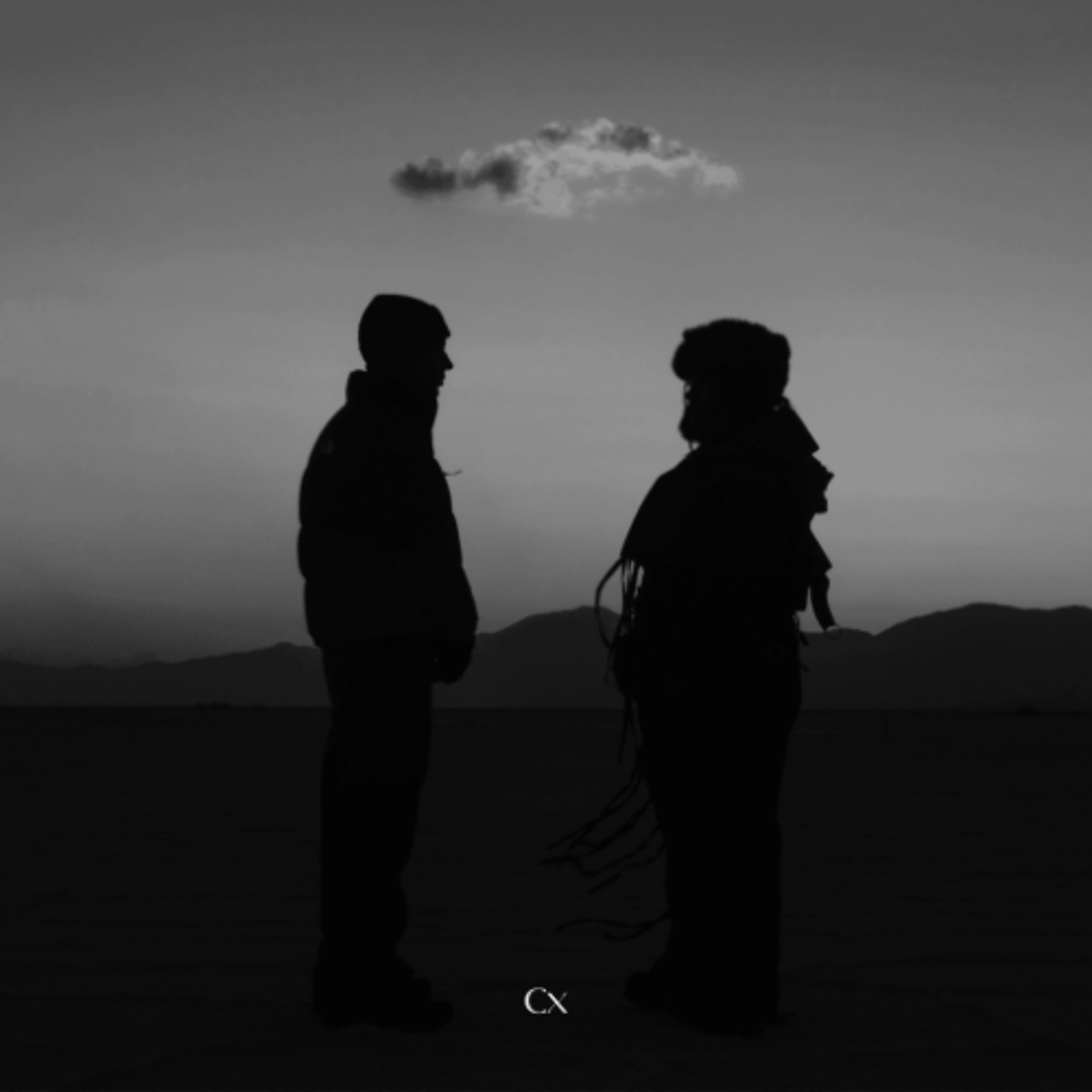 Track cover